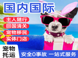 浪头机场空运国际宠物托运 【国