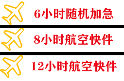浪头机场空运快递公司,专业空运当天件